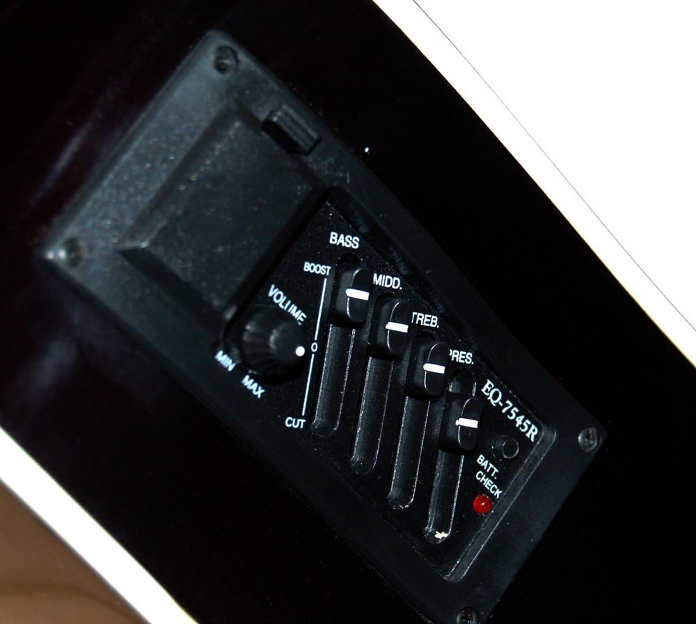 Electro - 12 Strings Acoustic EQ 7545R ( Free shipped USA )