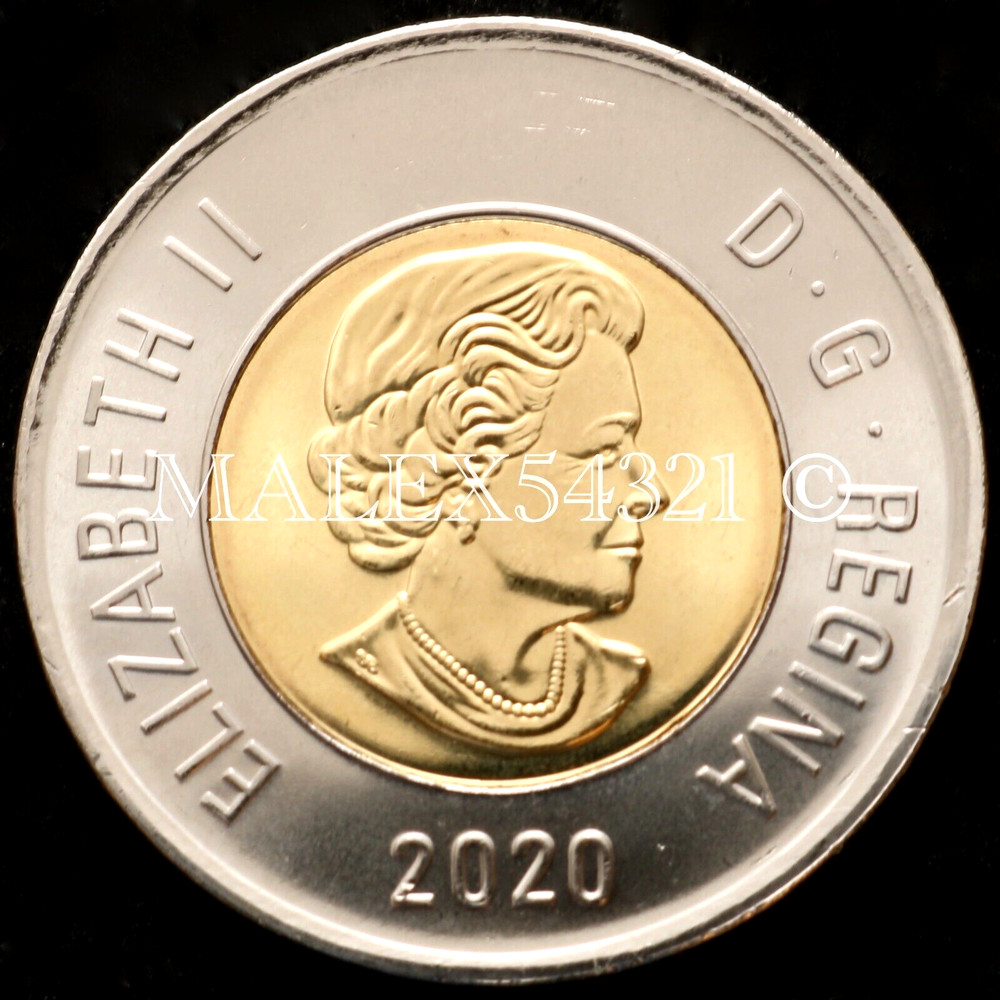 🇨🇦​ CANADA 2020 POLAR BEAR 2 DOLLARS UNCIRCULATED FROM MINT ROLL