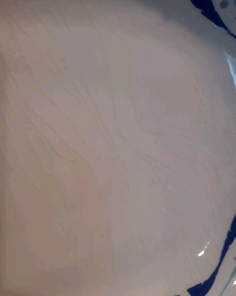 SeaWorld Oval Serving Platter Dish - 15"