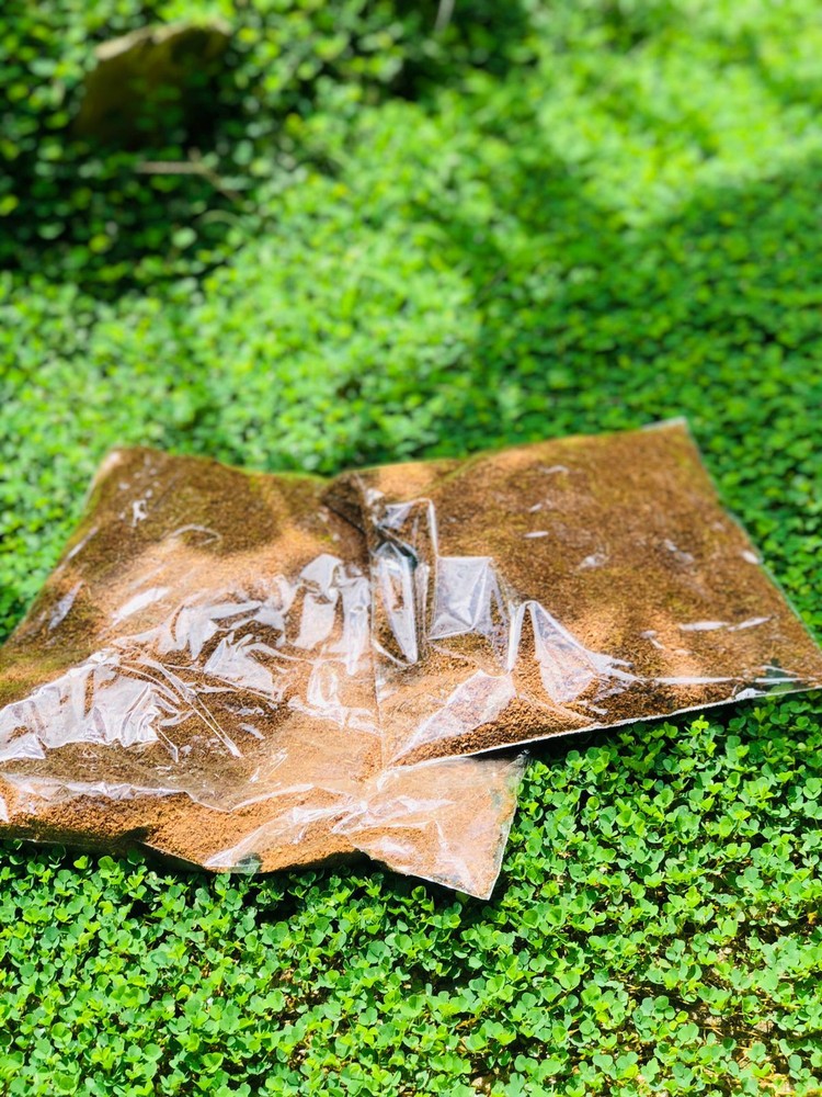 1Lb COCO COIR | 100% NATURAL ORGANIC COMPOST | HYDROPONIC GROWING MEDIA