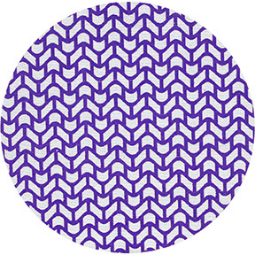 8IN P150 C2 NET DISC MMM-31643