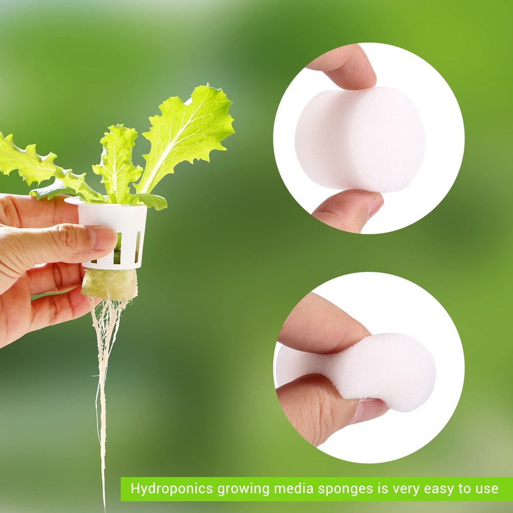 100Pcs/Set Hydroponic Gardening Plant Tools Planted Sponge Vegetable9833
