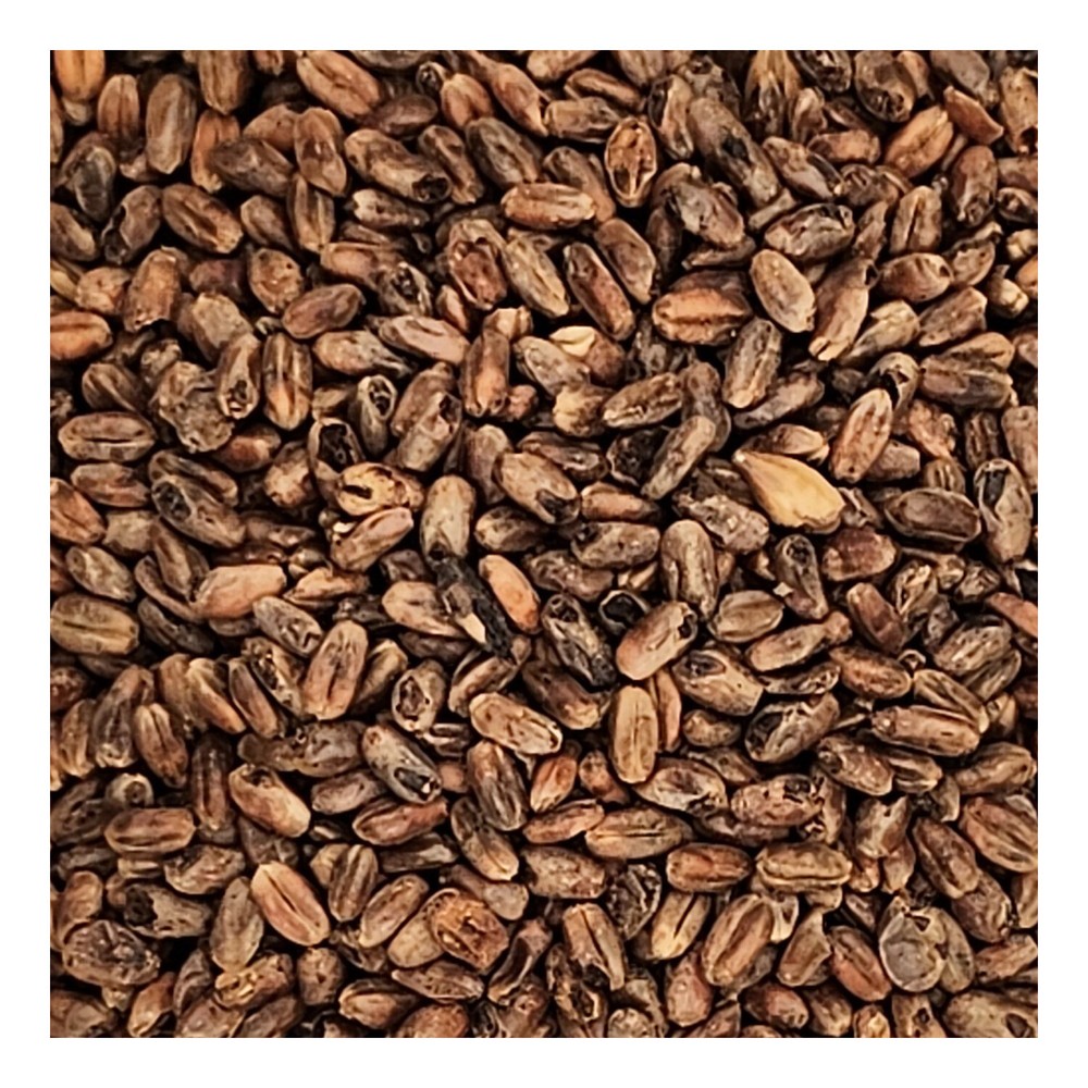 Home Brew Ohio CaraWheat Grain 1lb