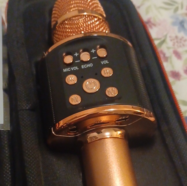Gold Bluetooth Wireless Karaoke Microphone with Carrying Case