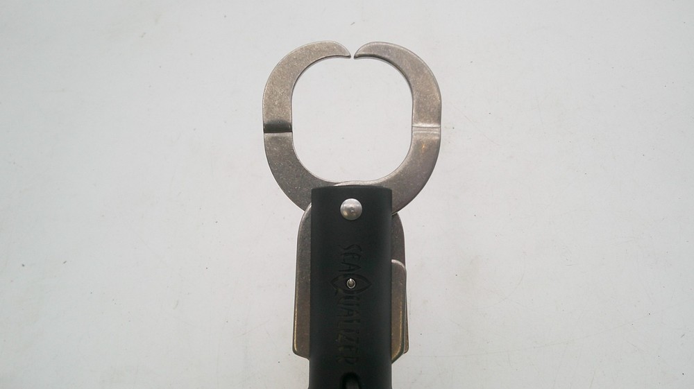 Seaqualizer & Seayalater Fish Release 3# Sinker Deep Dive