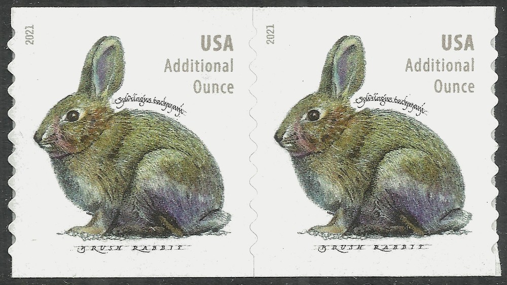 Scott 5545, The Brush Rabbit Coil Pair - MNH - Additional Ounce Forever