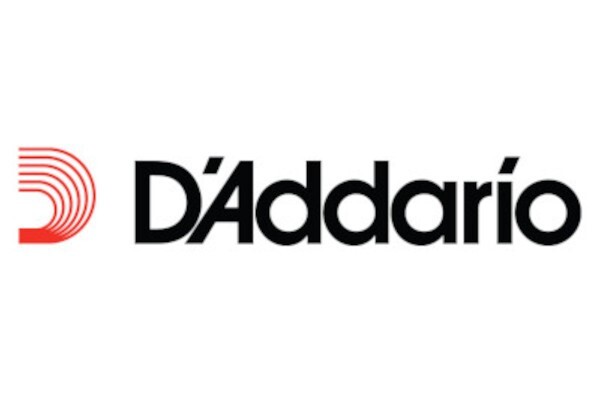 D'Addario Planet Waves Dual-Lock Strap Locks No Modifications Necessary 10 locks