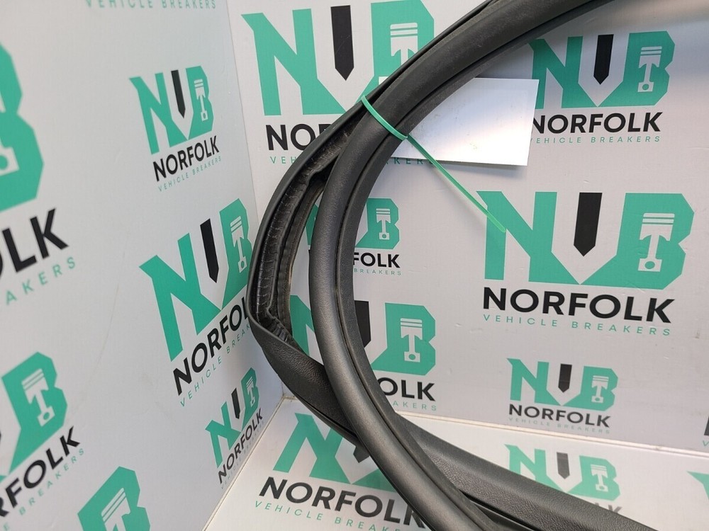 Jaguar I Pace X590 Front Left Door Seal