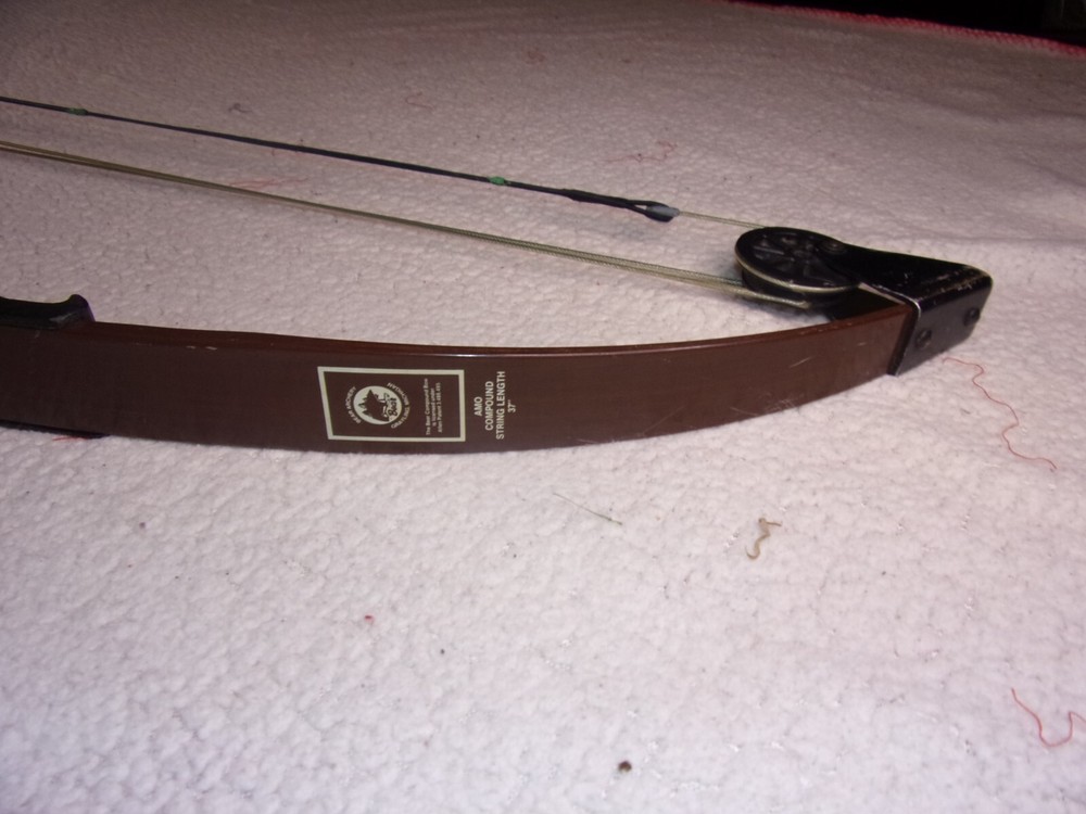 Bear Blacktail Hunter Compound