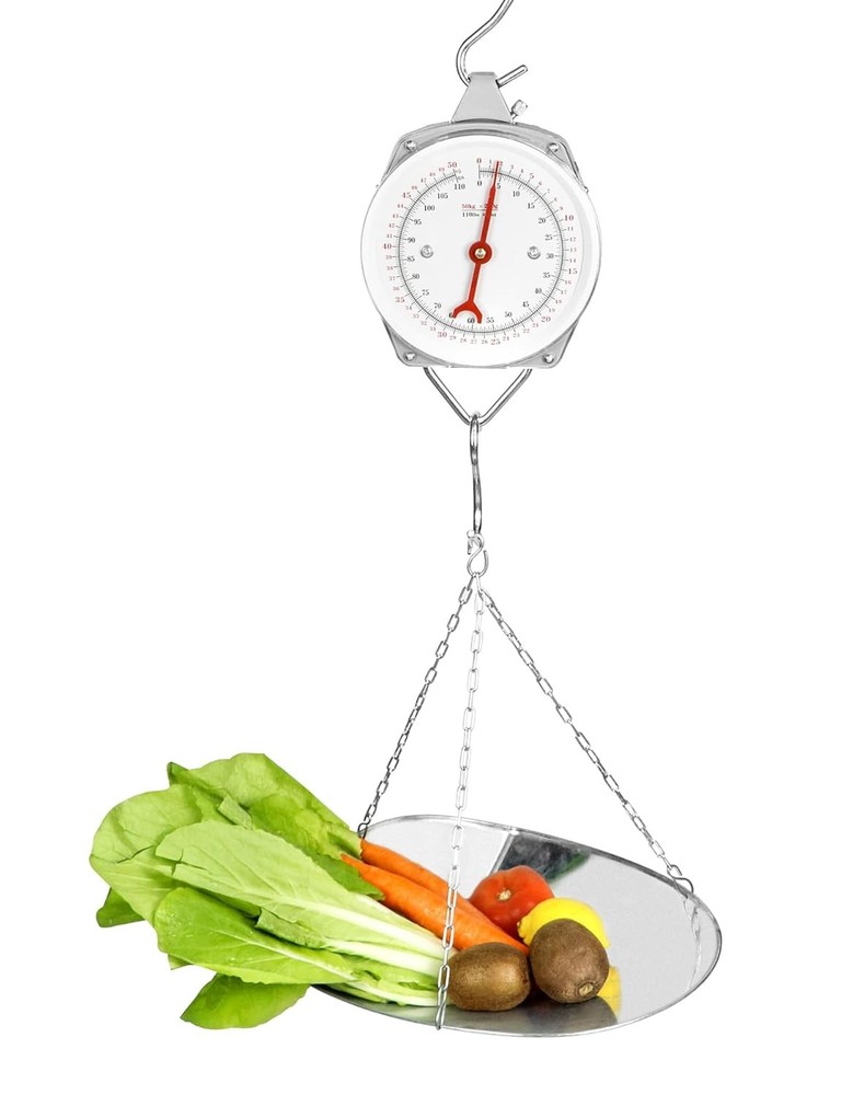 QWORK 110 lbs Large Display Spring Dial Weight Scale & silver