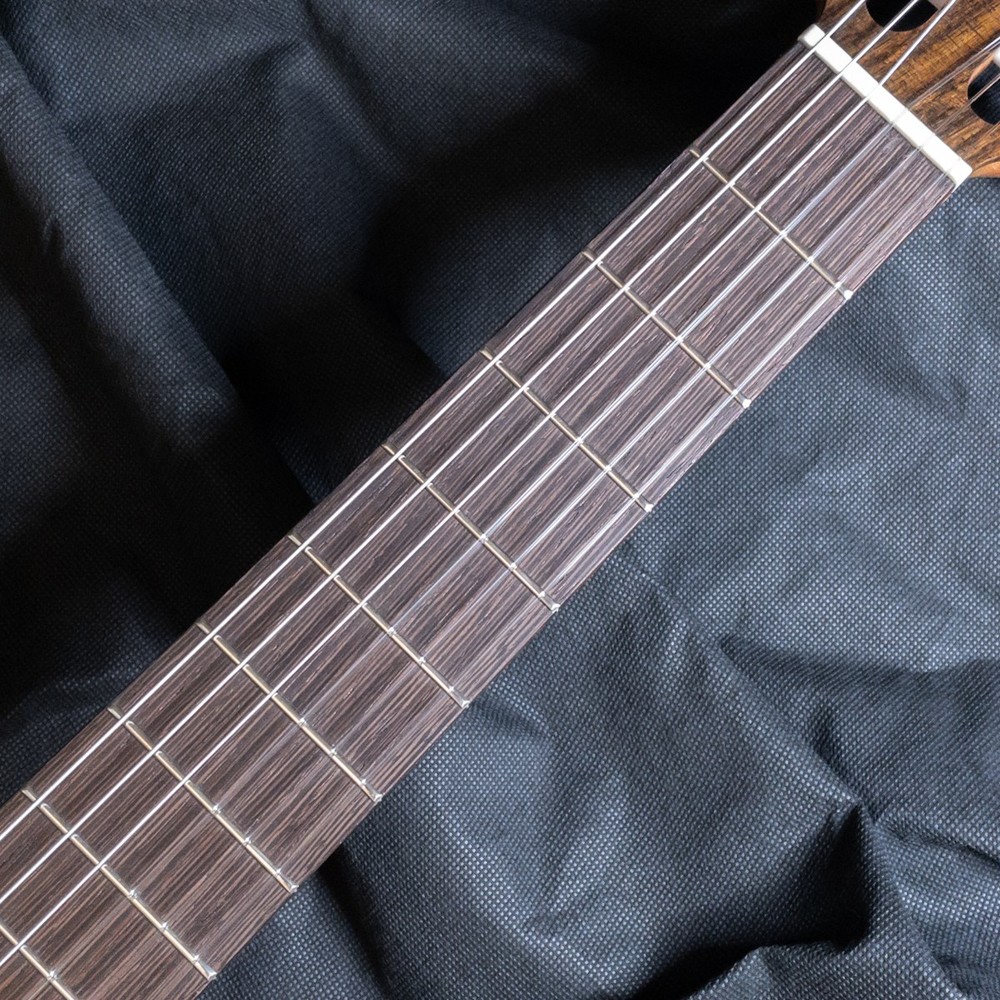 Esteve Organic Eco-Series Solid Spruce Top Classical Guitar