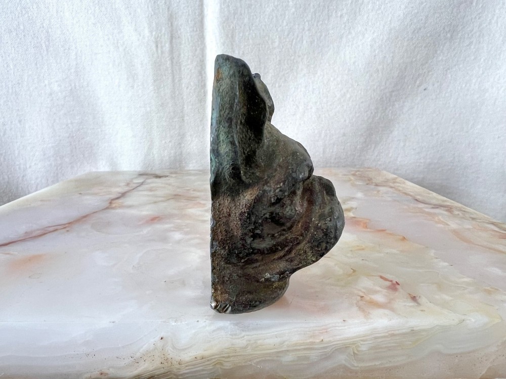 Antique Solid Bronze Bulldog Head Architectural Mount c1900