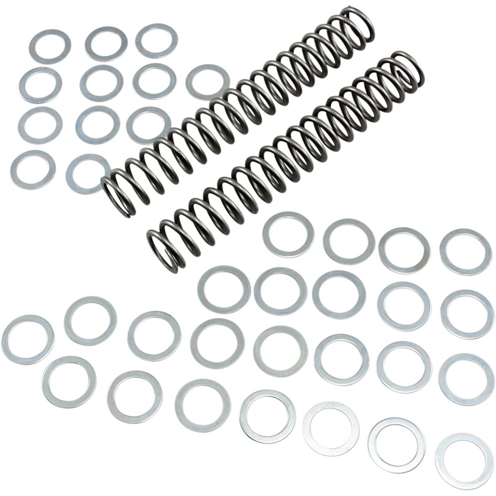Race Tech Fork Spring 1.0kg FRSP S3825100