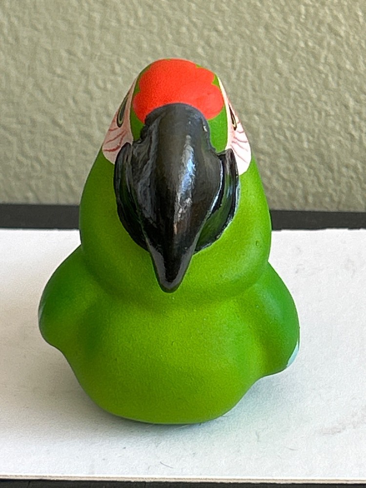 Gloria a Dios Painted Macaw Parrot Florida Signed