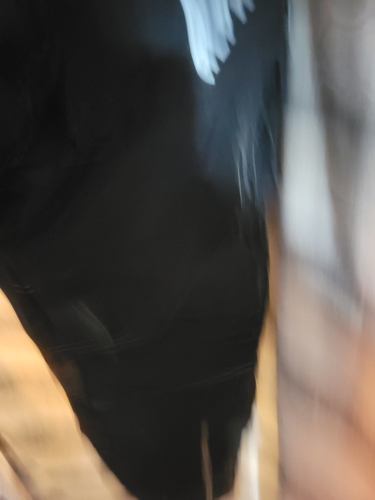 Alpha Racing Gear