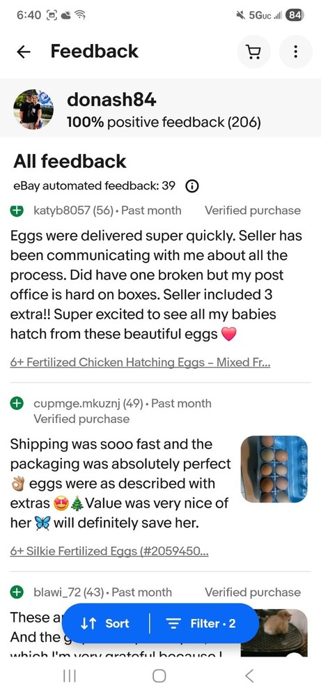 6+ Fertilized Ameraucana Chicken Eggs