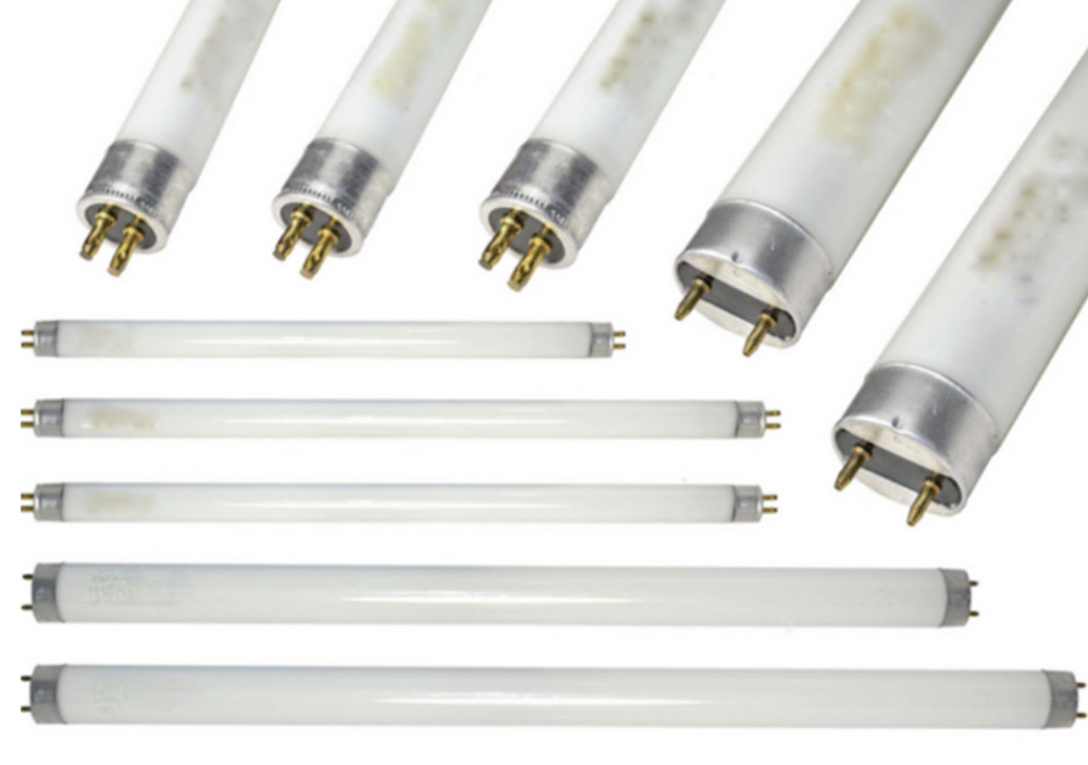 FLY INSECT KILLER BULB LAMPS FLY ZAPPER UV TUBE REPLACEMENTS T5 T8 6W 8W 15W 18W