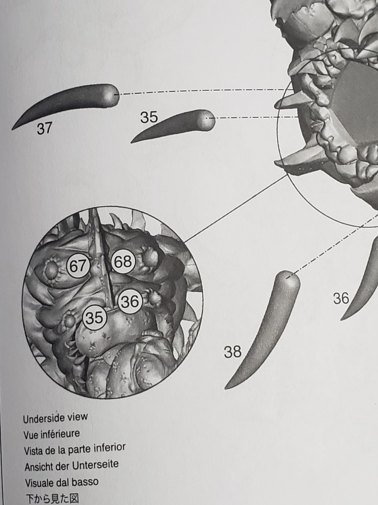 40k Chaos Space Marines Bits Mutaliith Vortex Beast front Spikes #35