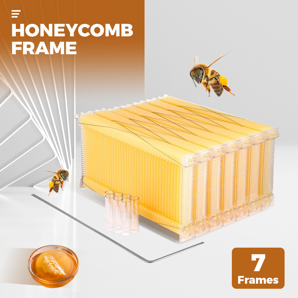 7 Auto Honey Beehive Frames Upgraded Honey Comb Bee Frames Beekeeping Frames USA