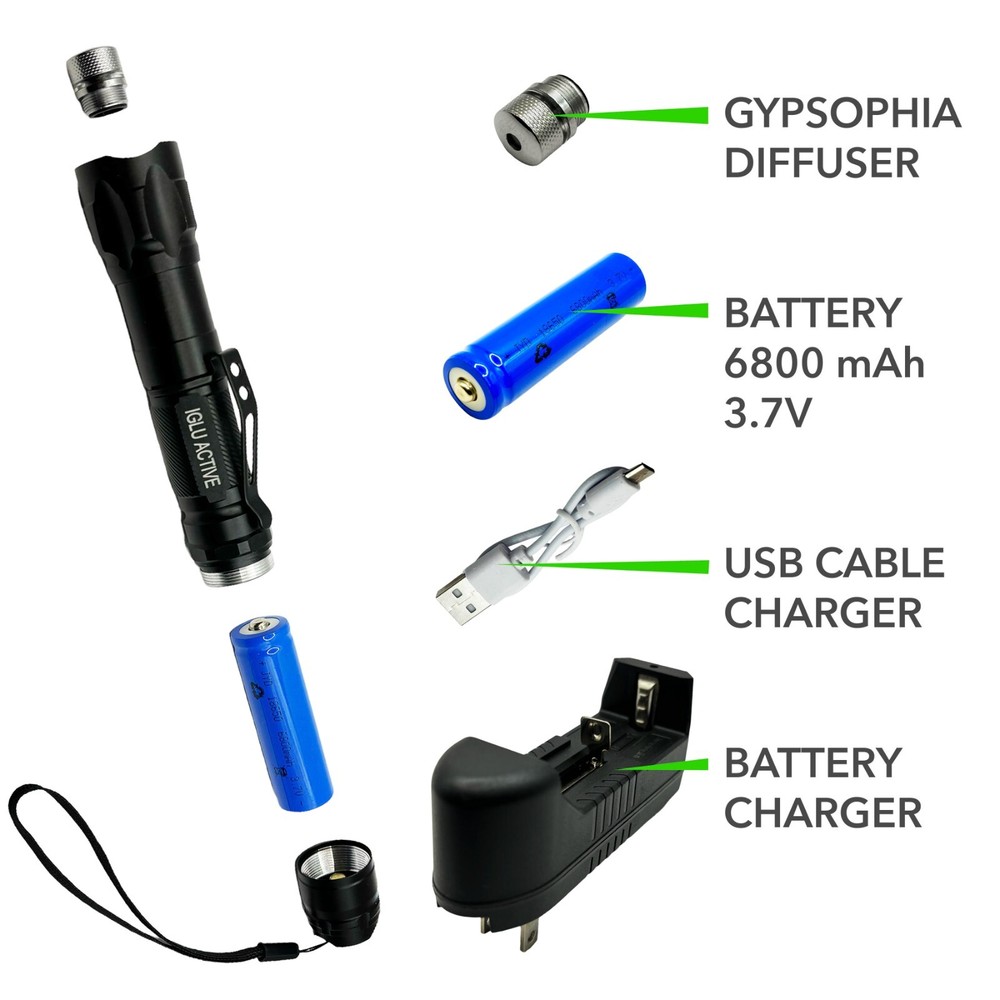 GREEN LASER POINTER High Power + Free Pocket Flashlight and Case