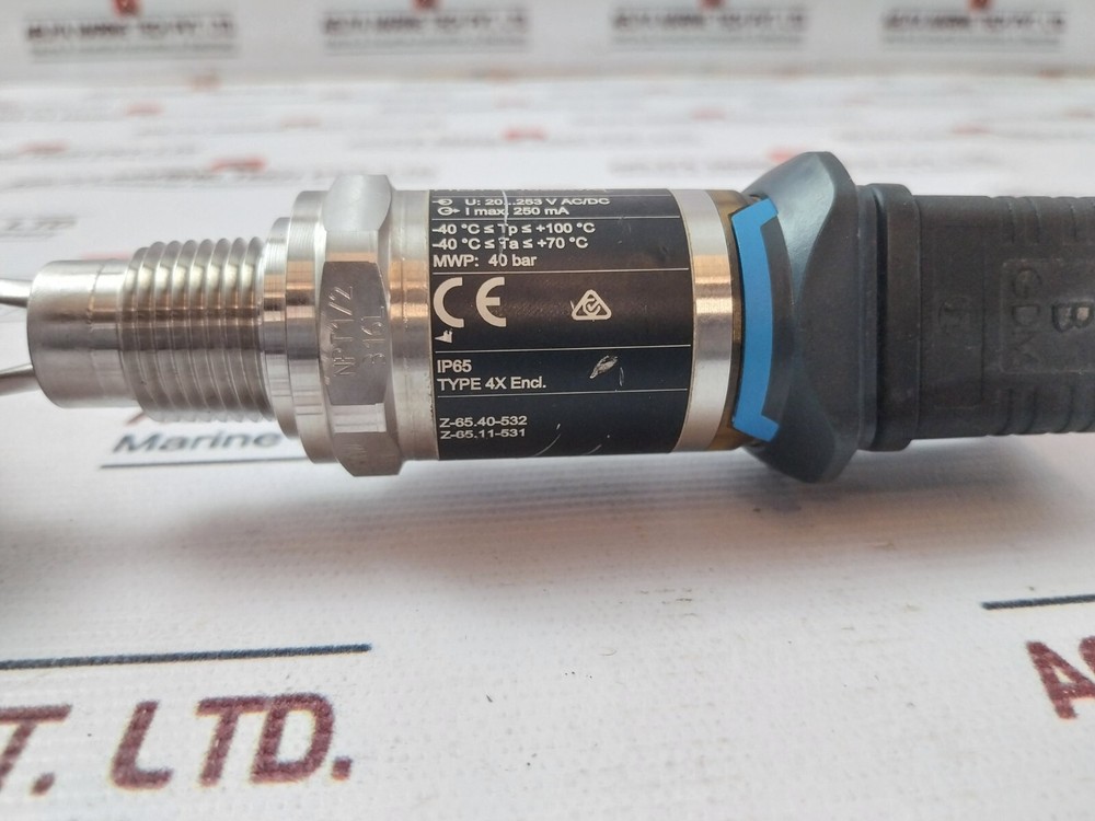 Endress+Hauser Liquiphant FTL31 Point Level Detector IP65