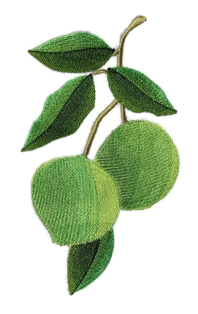 Fruit Cameo - Lime [Custom and Unique] Embroidered Iron on/Sew Patch (4" x 6.7")