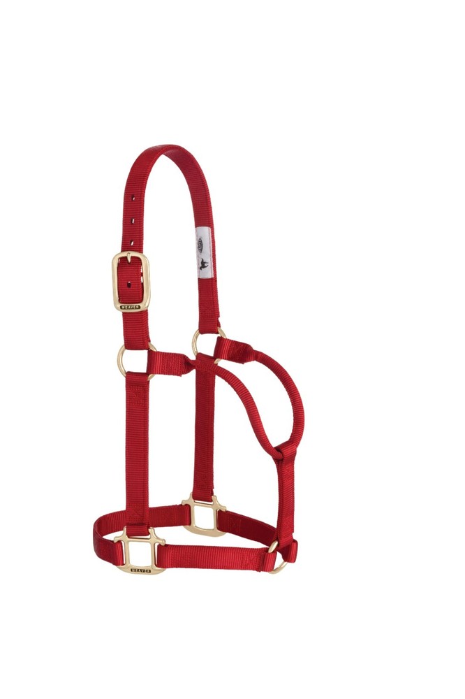 Original Non-Adjustable Halter , 1" Red