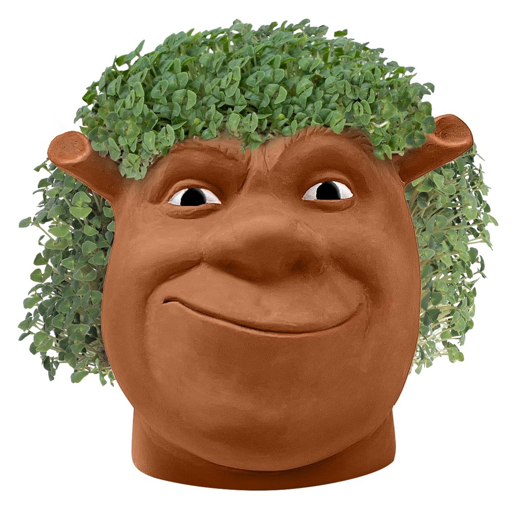 Shrek Handmade Decorative Planter by JEI