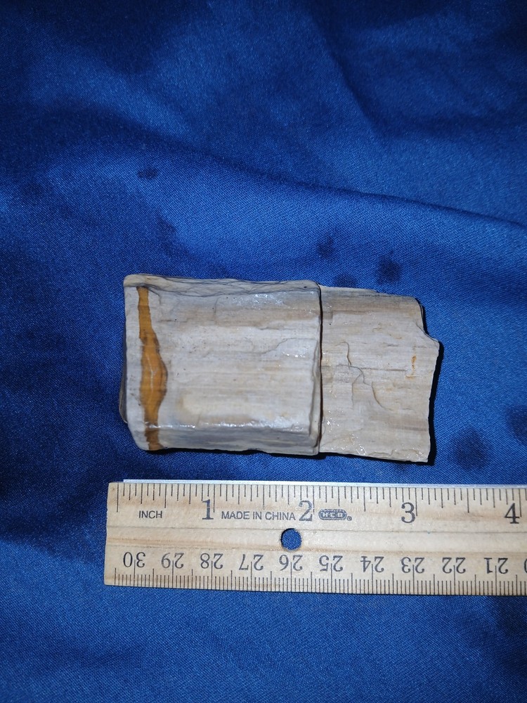 4 oz Texas Petrified Wood