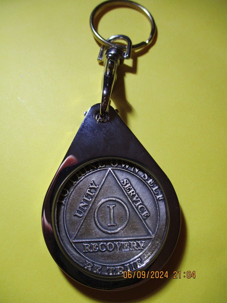 Coin Brass Chip All 12 Step Programs Medallion Surrender / Serenity