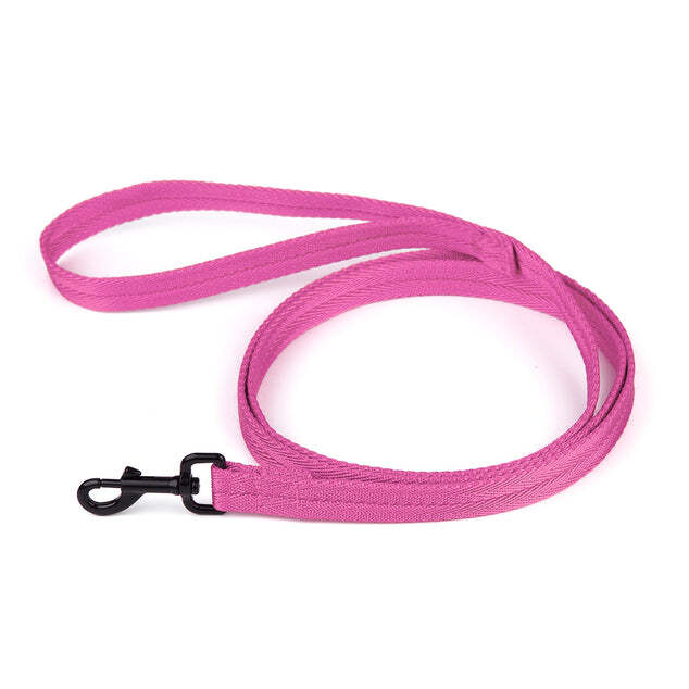 Nylon Leash 5/8" X 6ft Pink