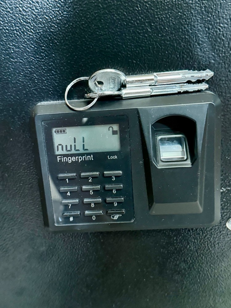 BlumSafe Wall Safe Steel Door with Code Panel, Fingerprint Reader, and 2 keys