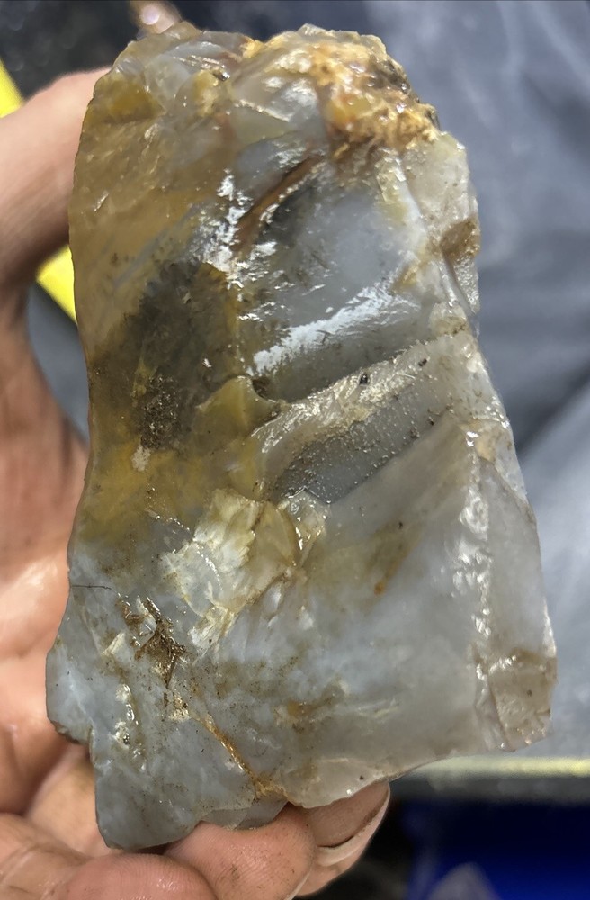Silver Creek Junction petrified wood