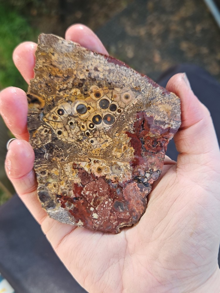 Gembone Slab Specimen (83.4 Grams)