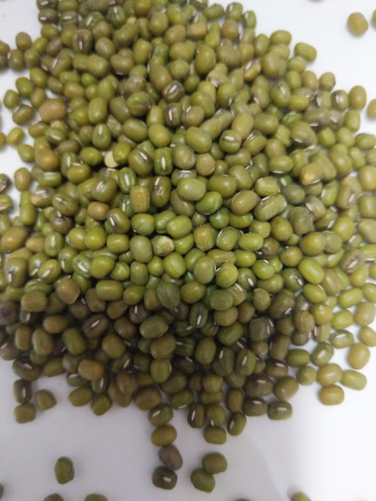 Chinese green beans  3 lbs 绿豆
