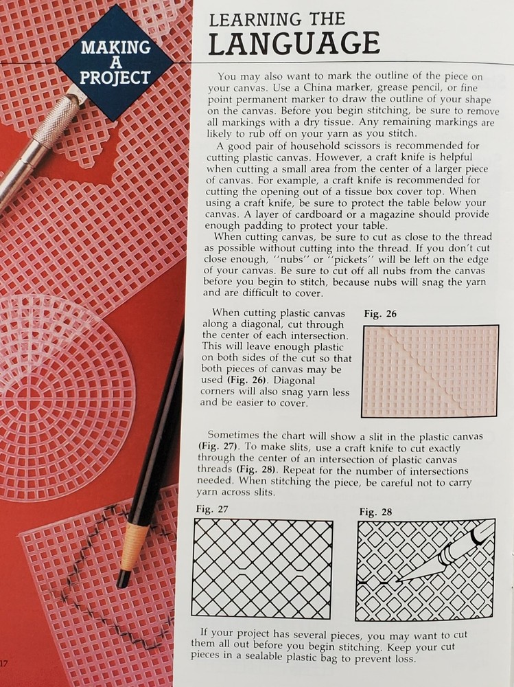 Everything You Need To Know Plastic Canvas Patterns Lessons By Leisure Arts