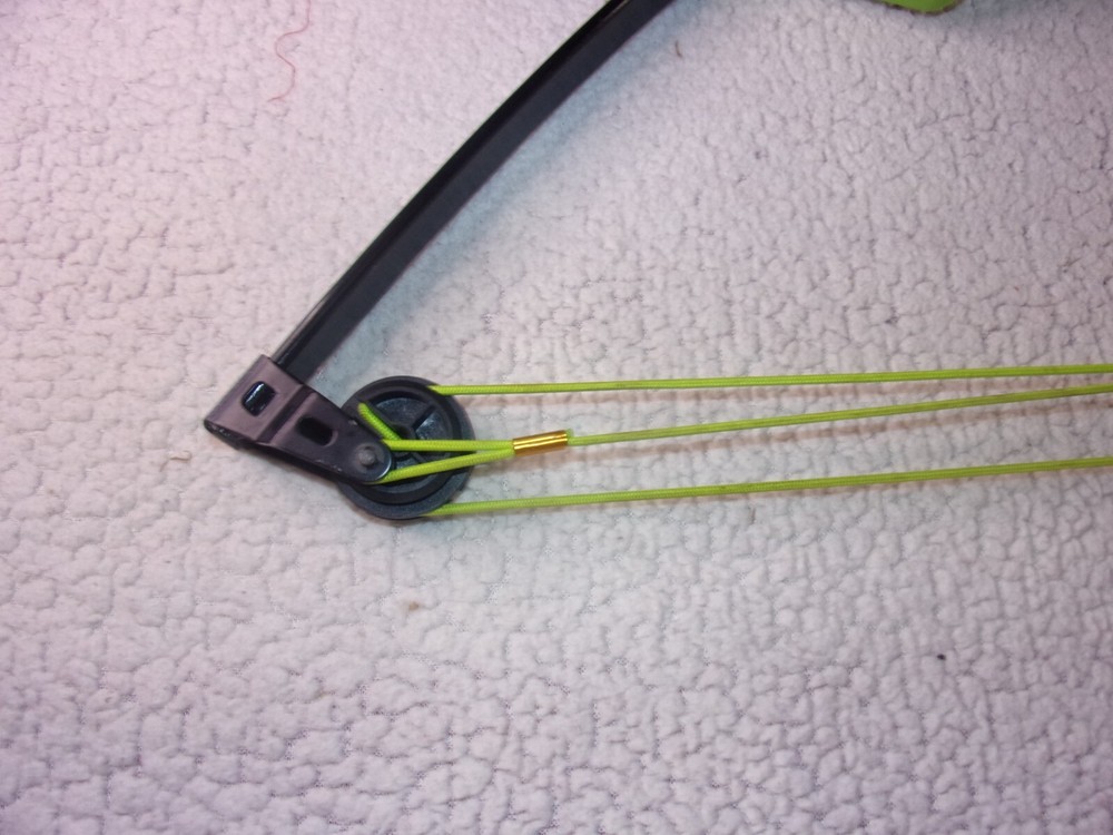 Bear Apprentice Youth Compound Bow