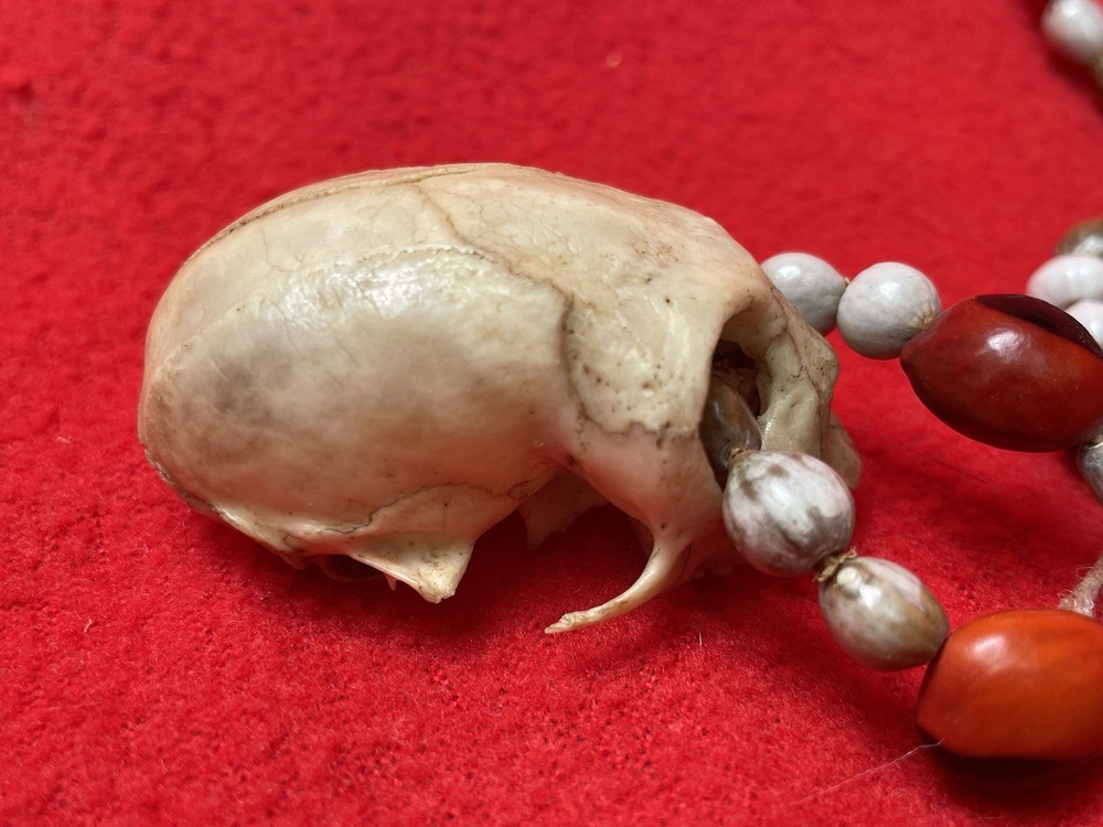 Magical Sacred Seed & Monkey Skull Shamanic Ritual Necklace