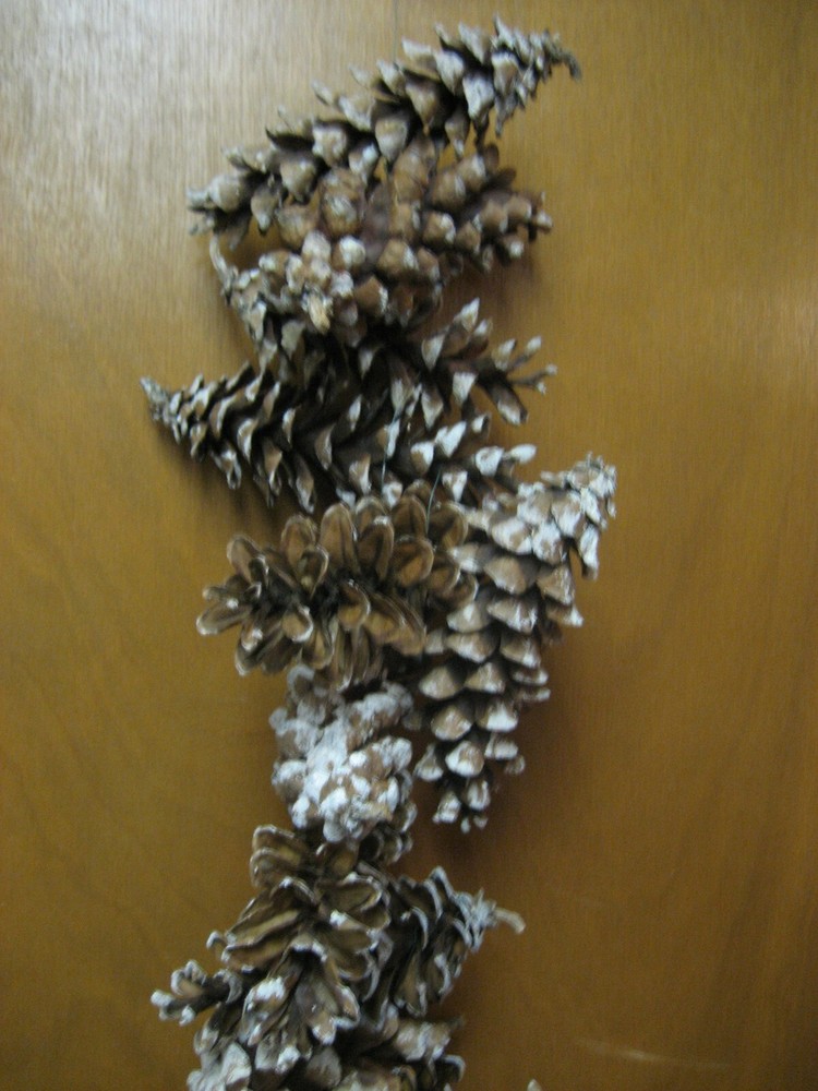 2' Pine Cone Garland (1572)