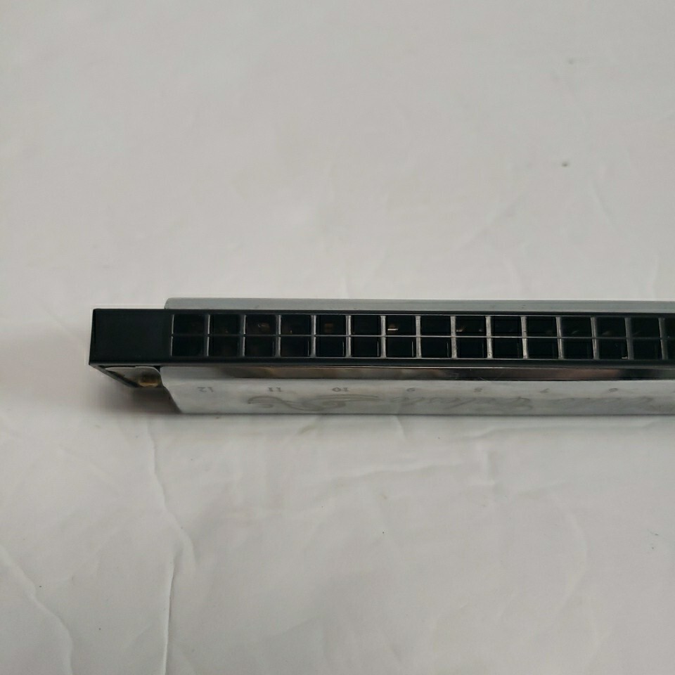Hohner Echo Celeste 12 Hole Harmonica