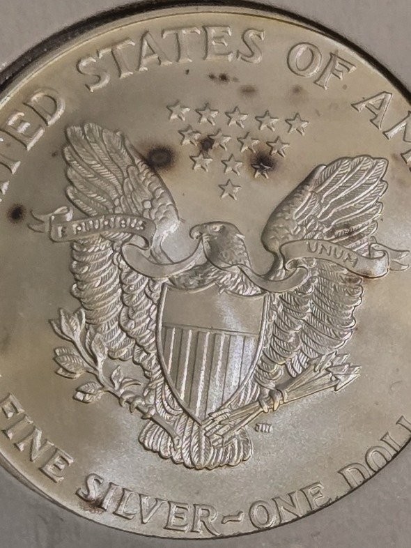 2002 US $1 American Silver Eagle ASE 1oz Fine Silver Uncirculated