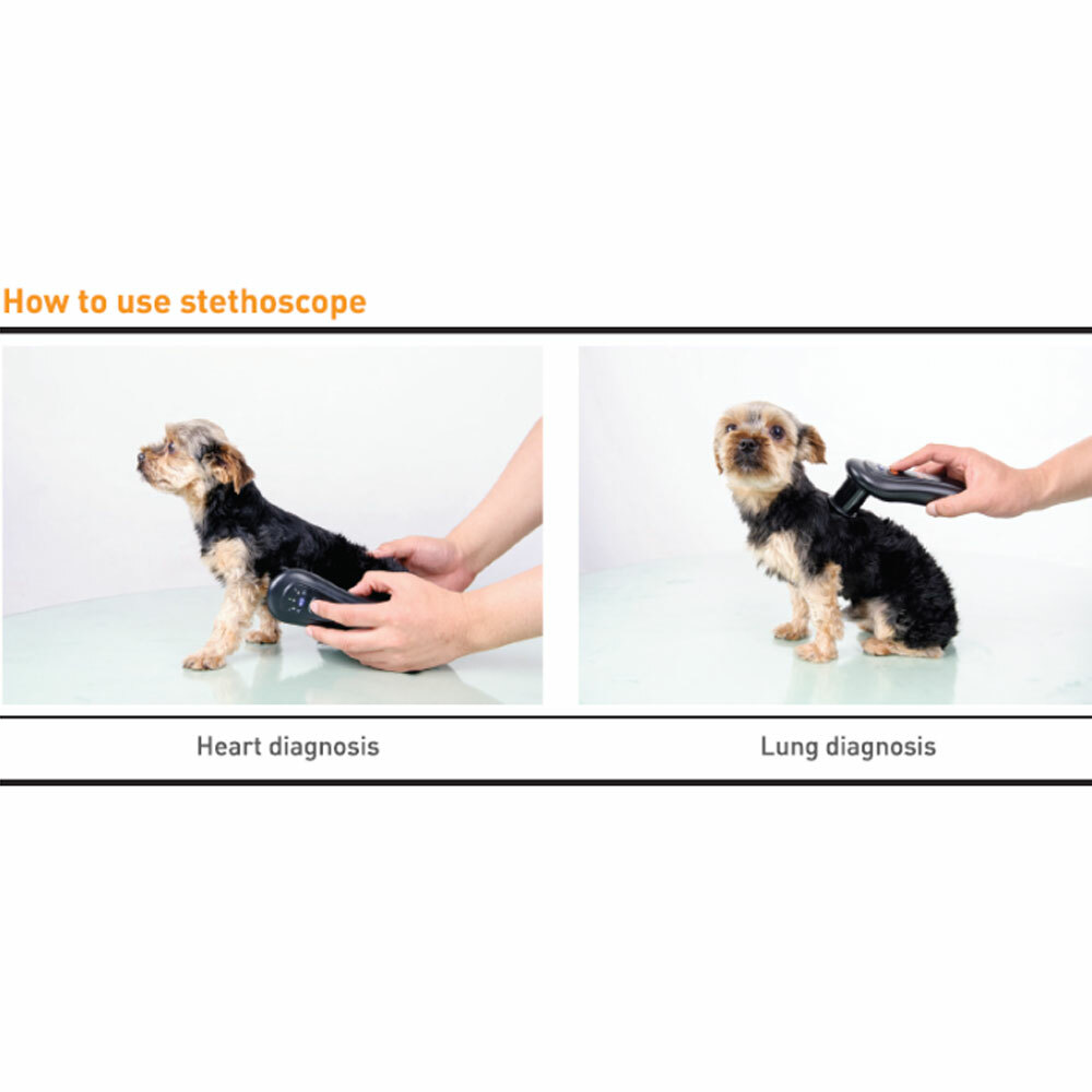 Sunmeditec Animal Wireless Digital Stethoscope