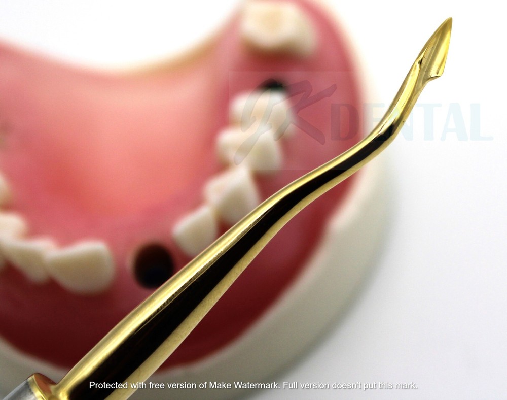 Dental Bernard Spade Elevator Surgical Extraction Spade Elevator Gold Tip