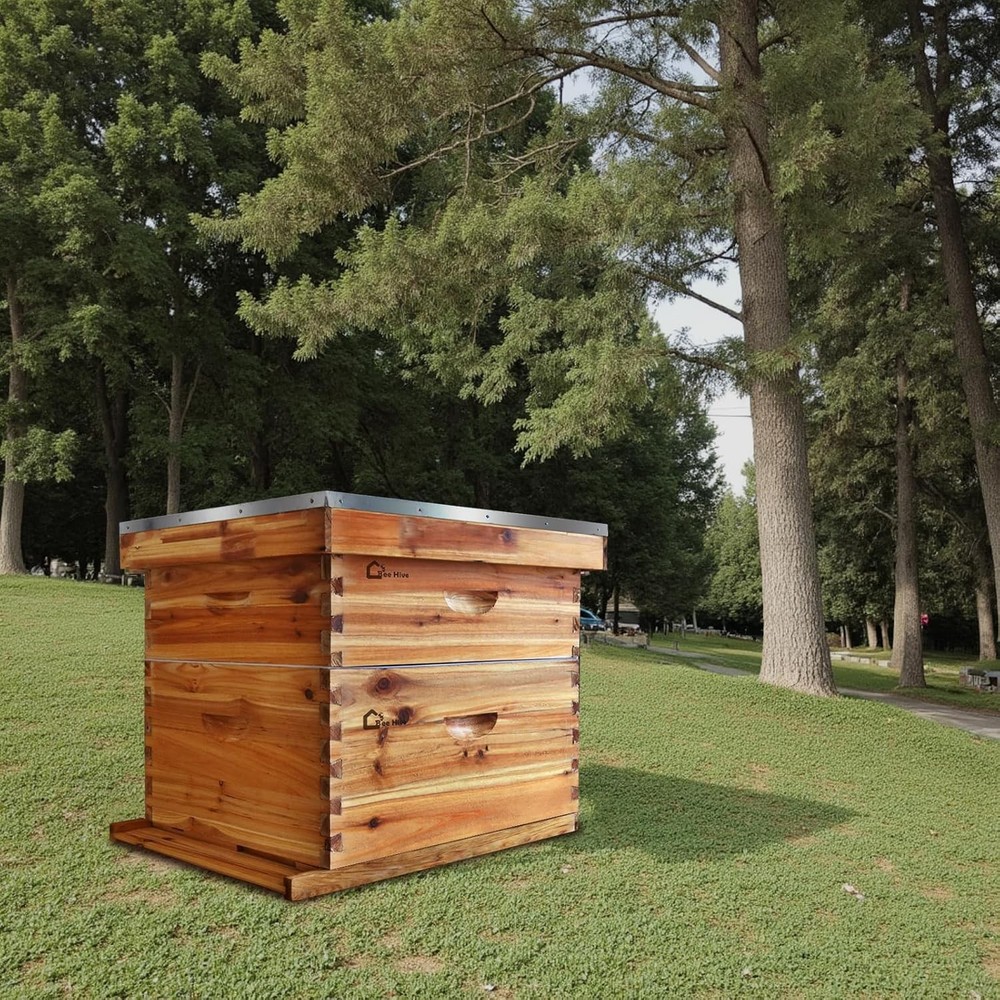 10-Frame Complete Beehive Kit, 1 Deep & 1 Medium Box, Beeswax Cedar, Dovetail