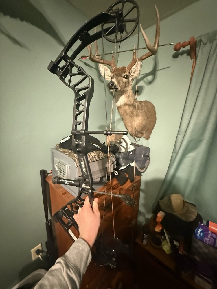 Bear Species EV 55-70 Pound Left Hand black