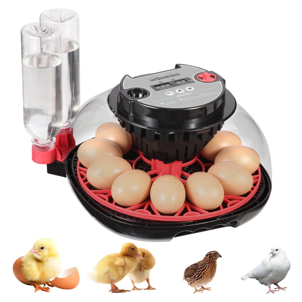 12 Egg Incubator with Automatic Turning, Humidity Control, LED Egg Candler, and