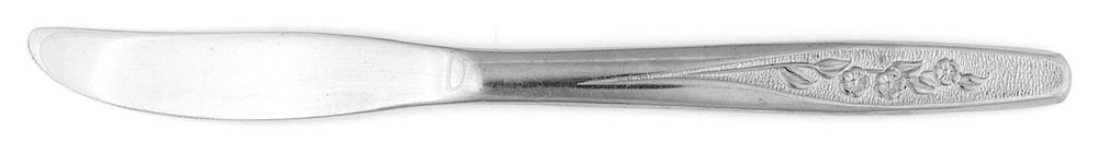 International Silver Radiant Rose  Modern Solid Knife 256253