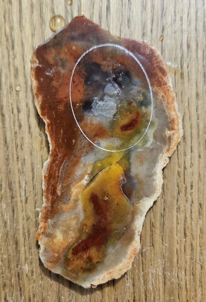 Rainbow Ridge Ledge Jasper Agate California 64 Grams