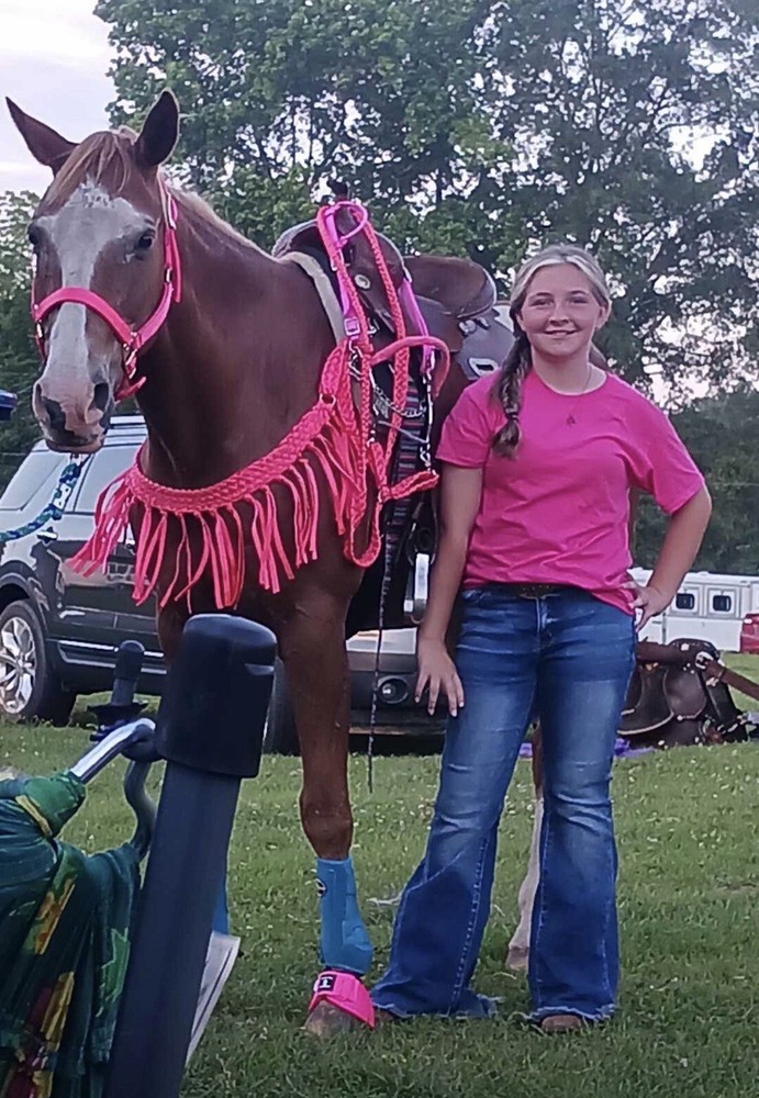 Mule Tape Tripping Collar Pink