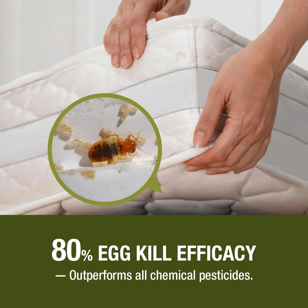 Bed Bug Killer by Ecoraider 16Oz.-100% Efficacy Kills All Stages/Eggs Eco